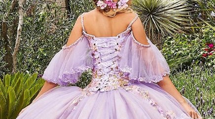 Stunning Tulle Appliques Ball Gown Princess Dress - KissProm