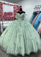 Letitia | Ball Gown  Lace Off the Shoulder Sage Green Quinceanera Dress