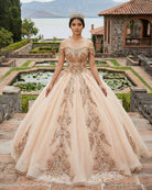 Classic Organza with Embroidery Cap Sleeve Sequined Quinceanera Dresses - KissProm