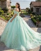 Exquisite Princess Ball Gown Cap sleeve Quinceanera Dresses with 3D Appliques - KissProm