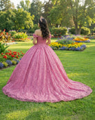 Exquisite Tulle V - neck Off the Shoulder Appliqued Quinceanera Dress - KissProm