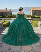 Dark Green Ball Gown Organza Half Sleeves Quinceanera Dress - KissProm