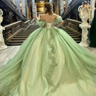 Sage Green Off Shoulder Beading Floral Appliqué Quinceanera Dress