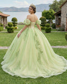 Sage Green Off Shoulder Beading Floral Appliqué Quinceanera Dress - KissProm