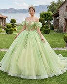 Sage Green Off Shoulder Beading Floral Appliqué Quinceanera Dress - KissProm