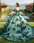 Green Ball Gown Off The Shoulder 3D Flowers Beads Applique Quinceanera Dresses - KissProm