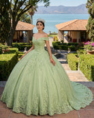 Lace Tulle Sage Applique Off Shoulder Quinceanera Dresses - KissProm