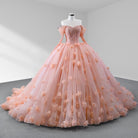 Blush Ball Gown Long Sleeves Off The Shoulder Quinceanera Dresses