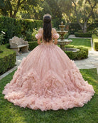 Blush Pink V Neckline Tulle Flower Quinceanera Dresses - KissProm