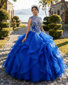 Royal Blue Organza High Neck Quinceanera Dresses Burgundy Prom Dresses - KissProm