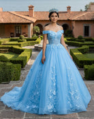 Sky Blue Tulle 3D Flowers Quinceanera Dresses With Train - KissProm