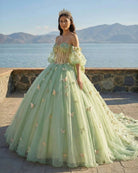 Ball Gown Sage Green Tulle Quinceanera Dress With Butterflies - KissProm