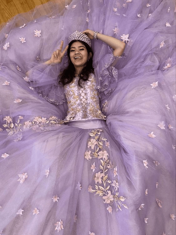 Stunning Tulle Appliques Ball Gown Princess Dress - KissProm