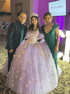 Stunning Tulle Appliques Ball Gown Princess Dress - KissProm